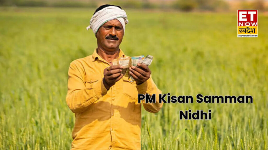 PM Kisan Samman Nidhi:  24वीं किस्त पर बड़ा अपडेट! इन ग‍लतियों से बचें वरना खाते में नहीं आएंगे 2,000 रुपये