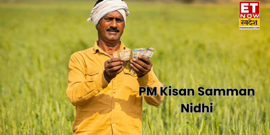 PM Kisan Samman Nidhi:  24वीं किस्त पर बड़ा अपडेट! इन ग‍लतियों से बचें वरना खाते में नहीं आएंगे 2,000 रुपये